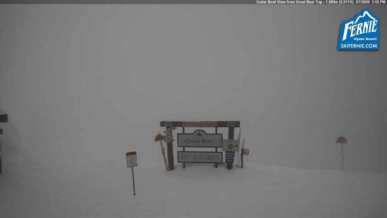 Webcam Fernie: Cedar Bowl