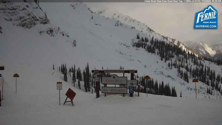 Webcam Fernie: Cedar Bowl