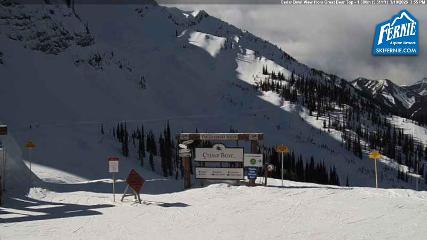 Fernie: Cedar Bowl (skifernie.com)