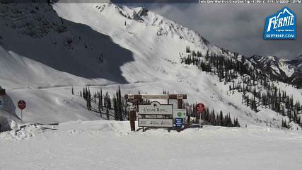 Fernie: Cedar Bowl (skifernie.com)