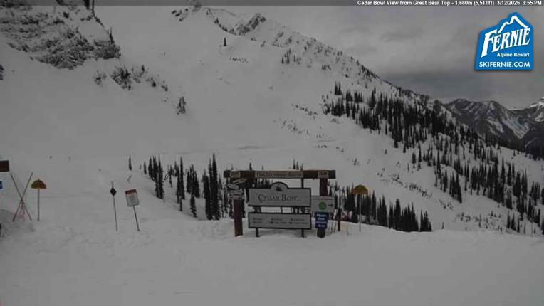 Webcam Fernie: Cedar Bowl