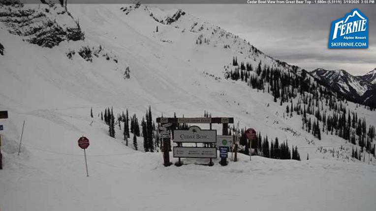 Webcam Fernie: Cedar Bowl