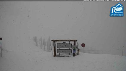 Fernie: Cedar Bowl (skifernie.com)