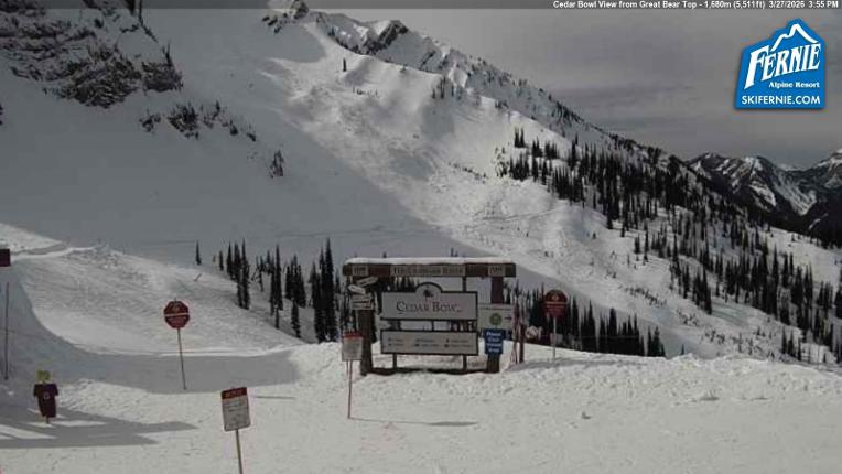 Webcam Fernie: Cedar Bowl