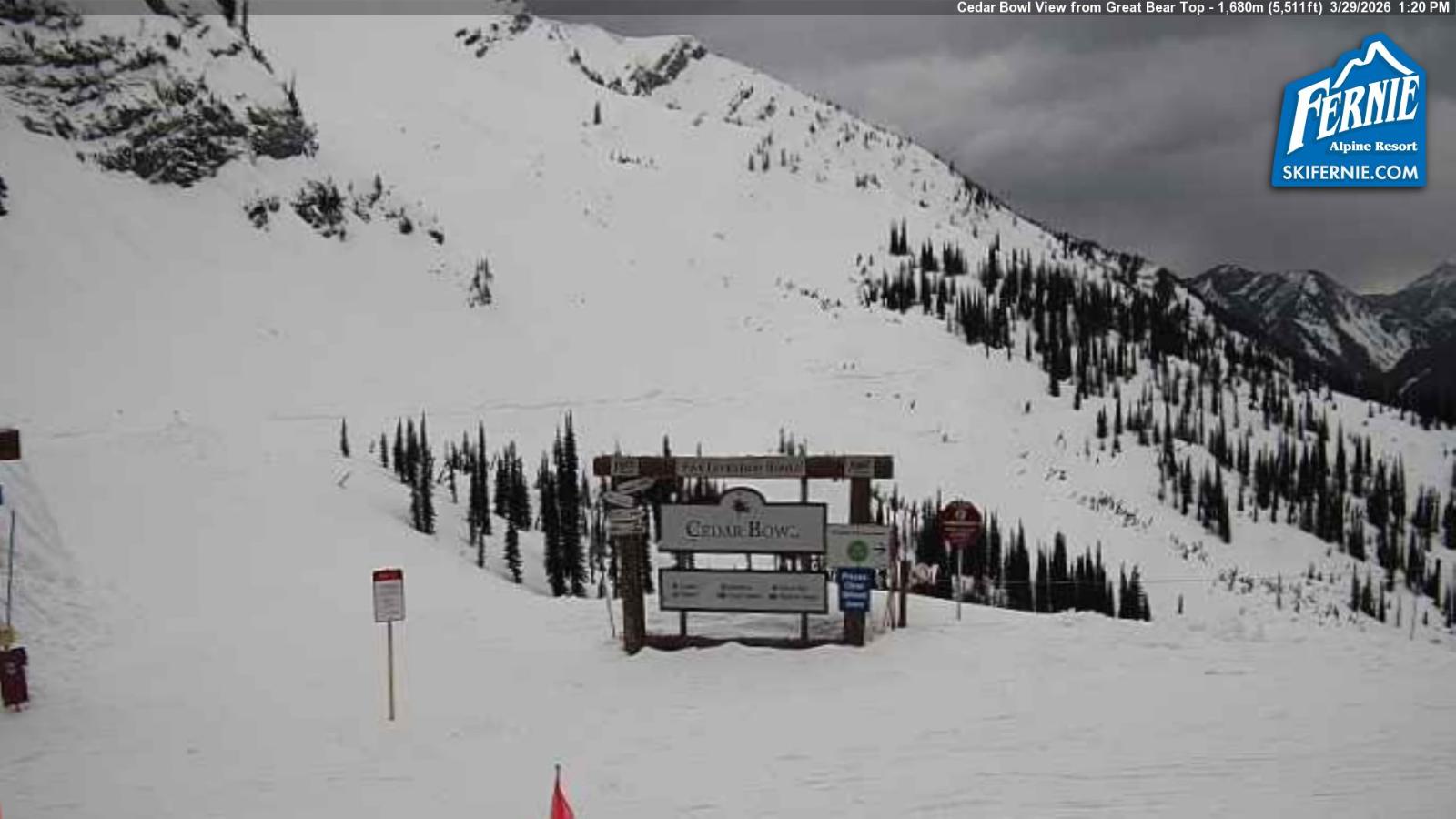 Webcam Fernie: Cedar Bowl