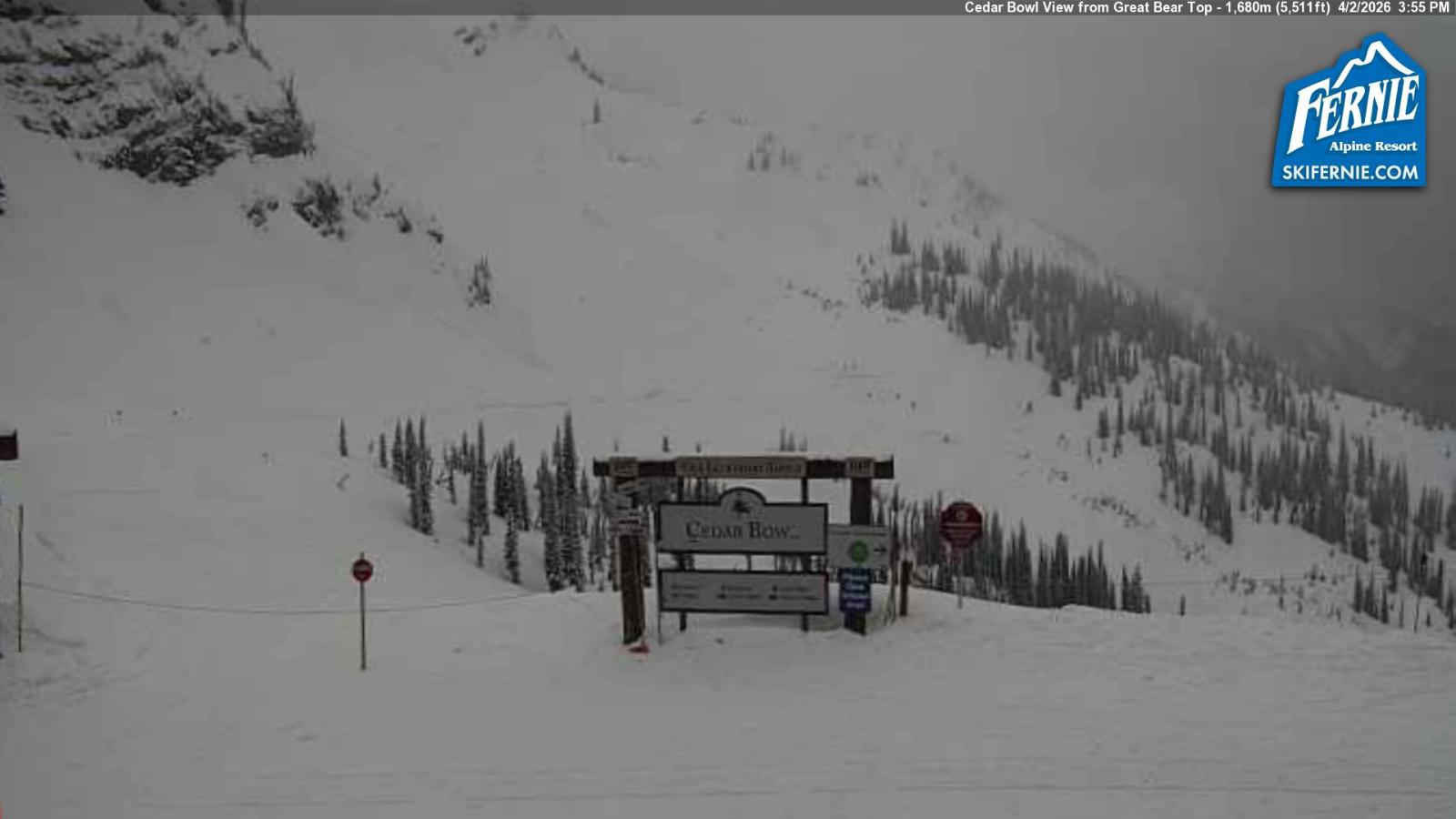 Webcam Fernie: Cedar Bowl
