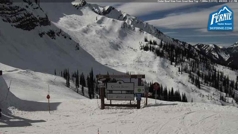 Webcam Fernie: Cedar Bowl