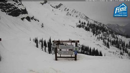 Fernie: Cedar Bowl (skifernie.com)