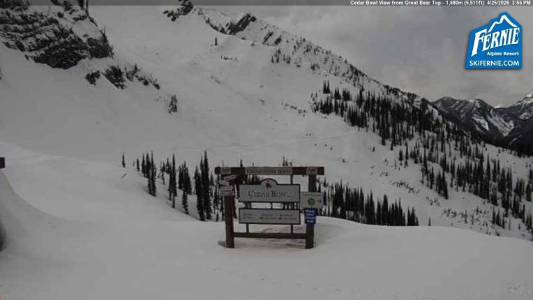 Webcam Fernie: Cedar Bowl