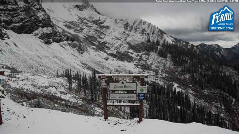 Webcam Fernie: Cedar Bowl