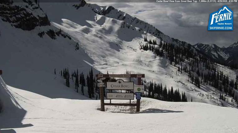 Webcam Fernie: Cedar Bowl