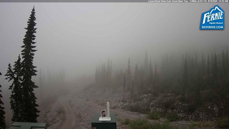 Webcam Fernie: Lizard Bowl