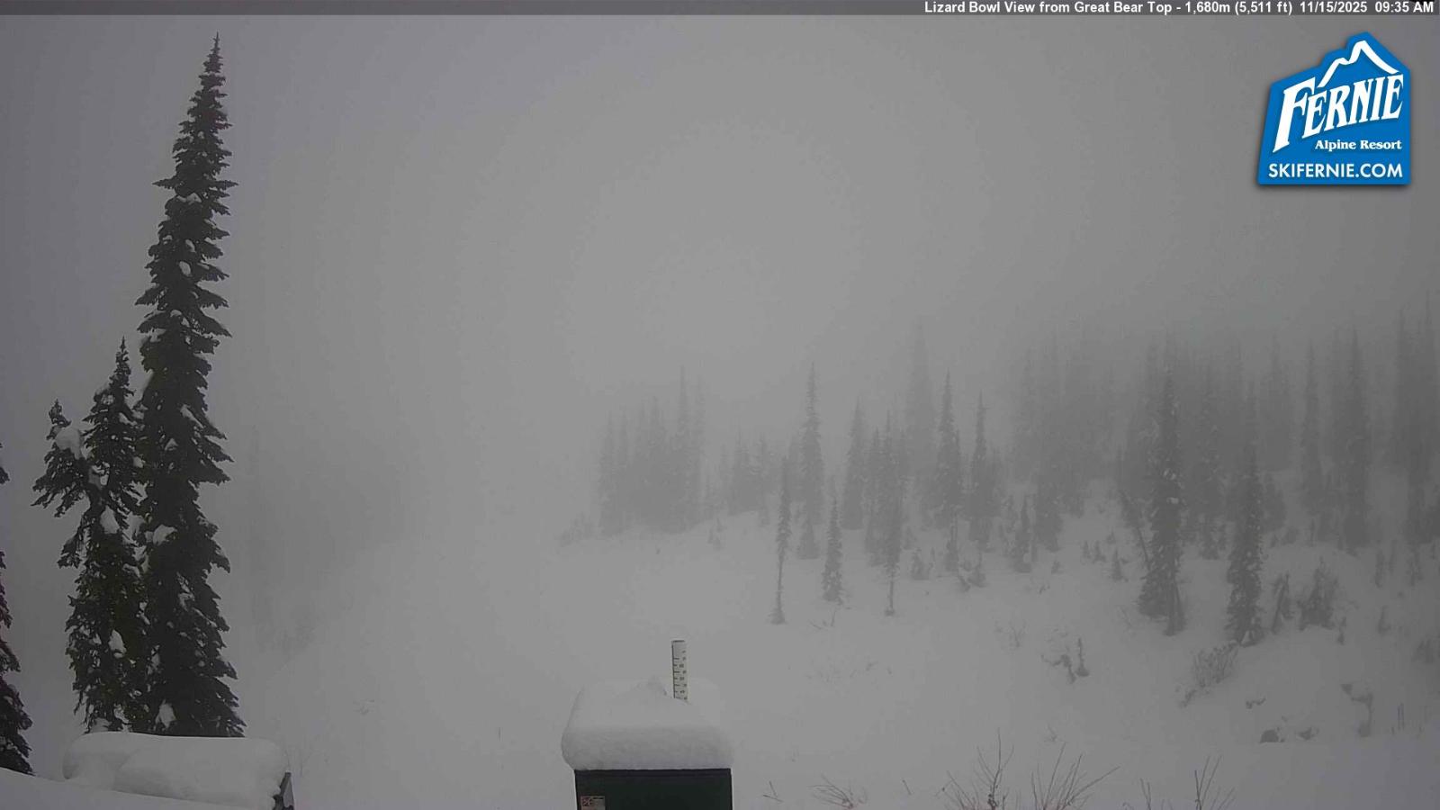 Webcam Fernie: Lizard Bowl