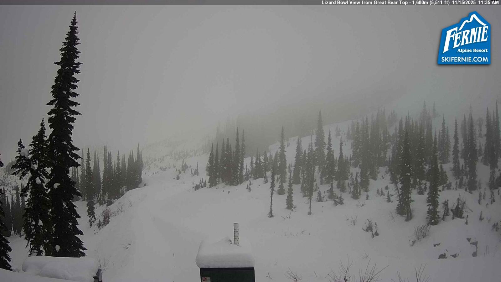 Webcam Fernie: Lizard Bowl