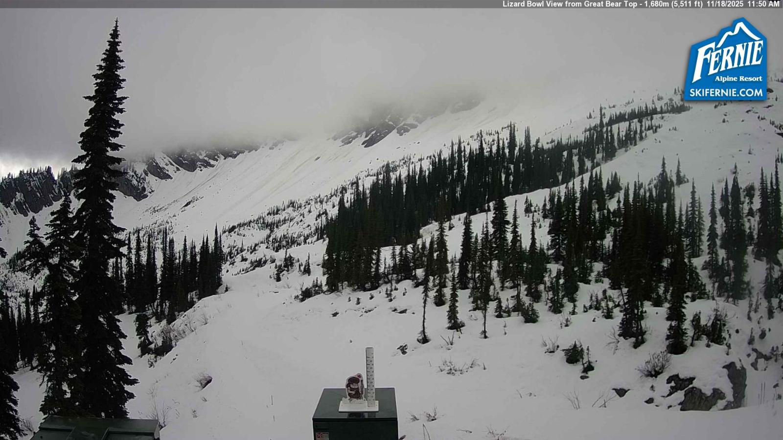 Webcam Fernie: Lizard Bowl