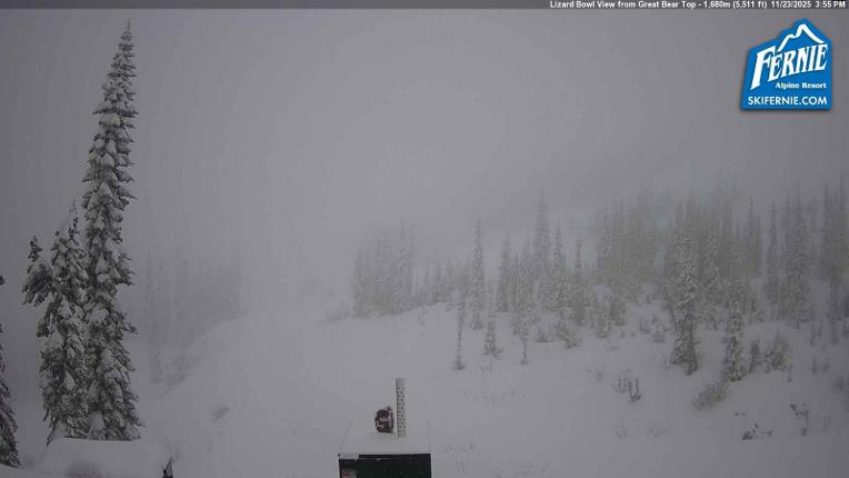 Webcam Fernie: Lizard Bowl
