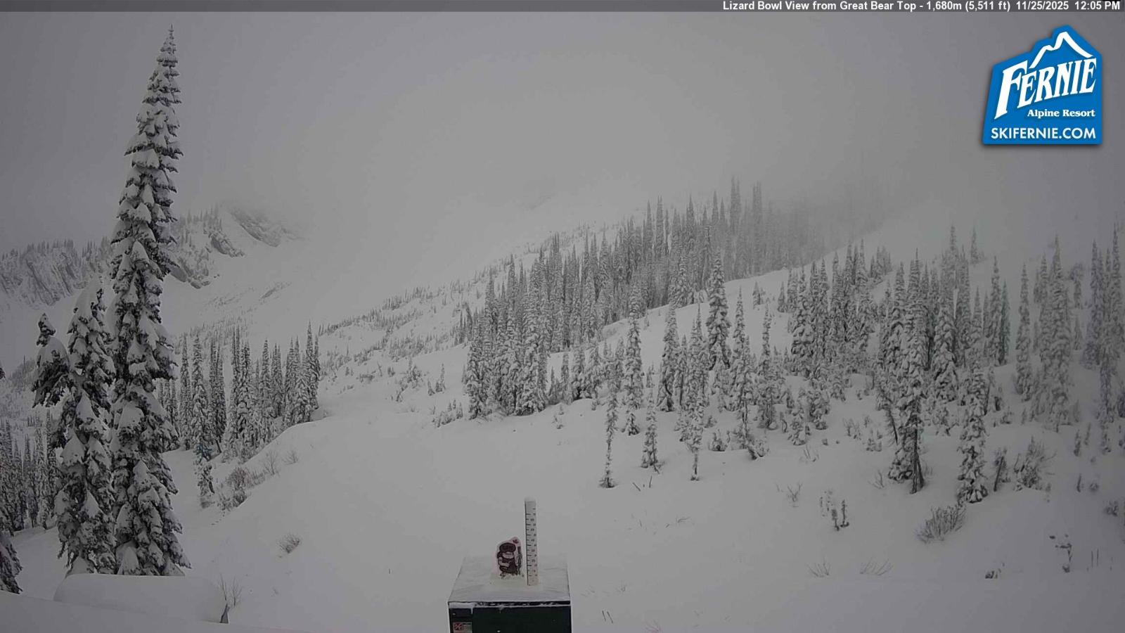 Webcam Fernie: Lizard Bowl