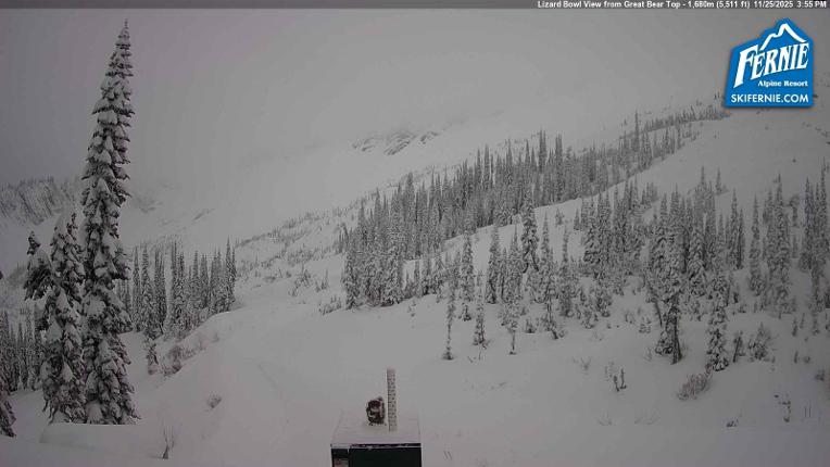Webcam Fernie: Lizard Bowl