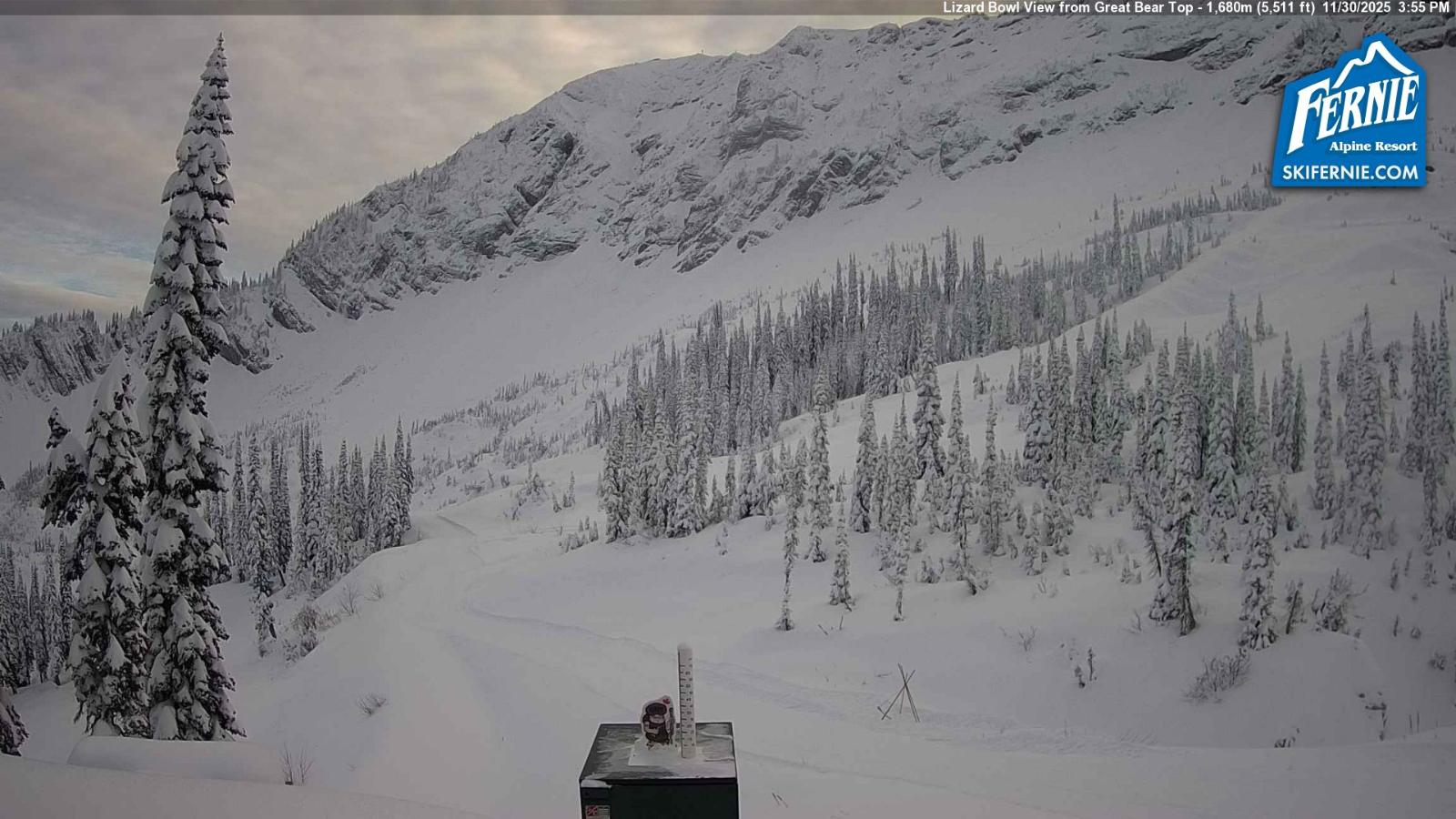 Webcam Fernie: Lizard Bowl