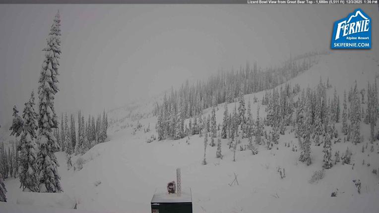 Webcam Fernie: Lizard Bowl