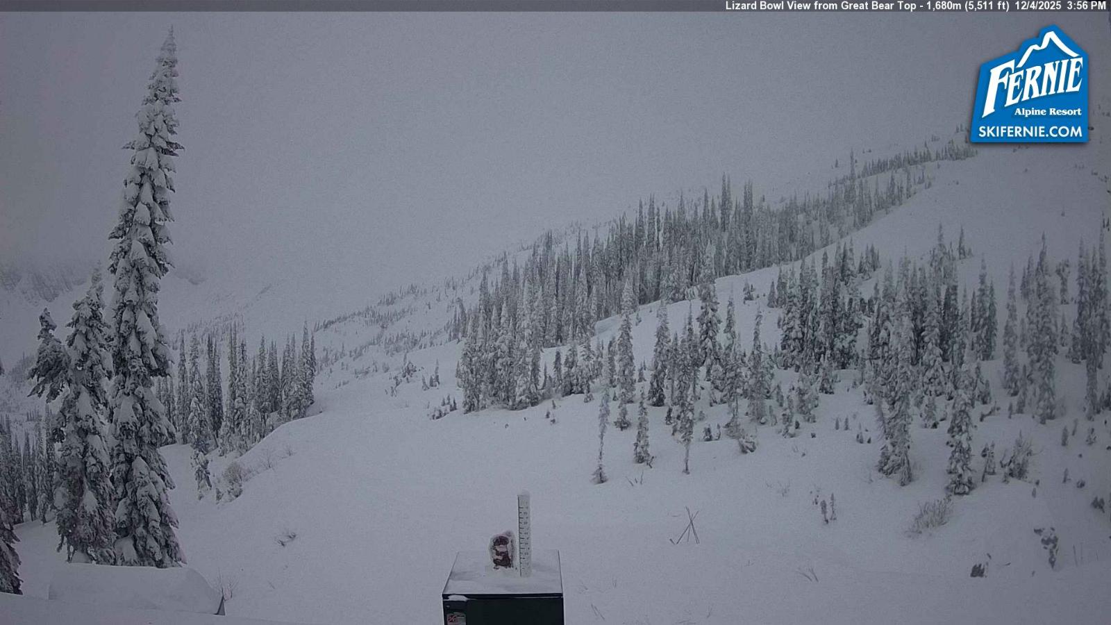 Webcam Fernie: Lizard Bowl