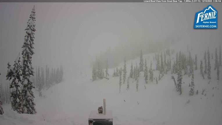 Webcam Fernie: Lizard Bowl