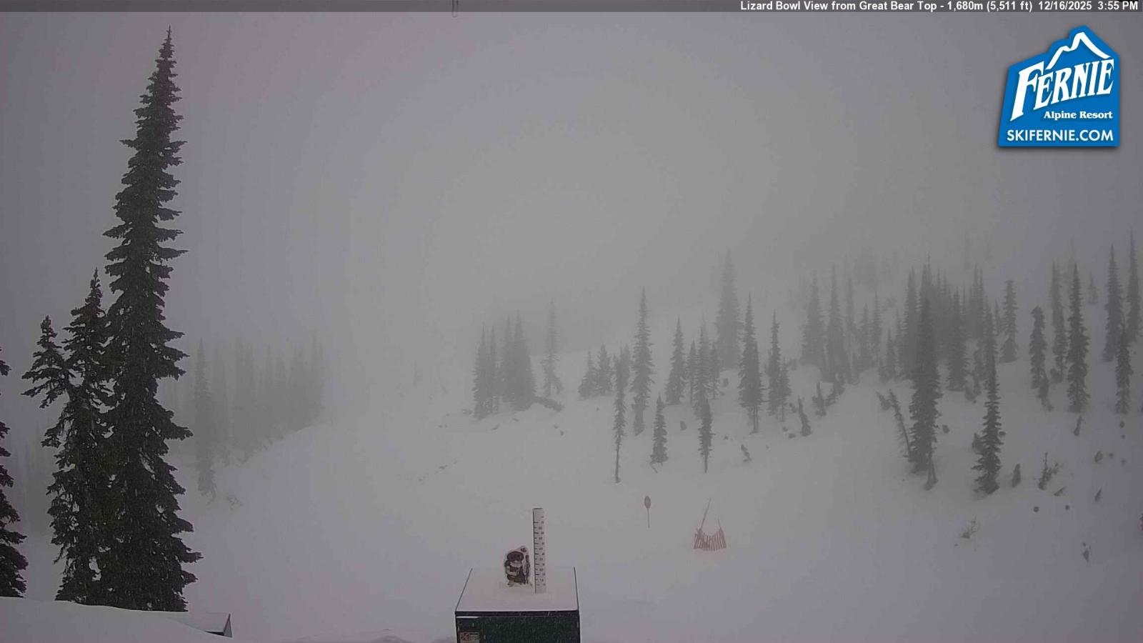 Webcam Fernie: Lizard Bowl