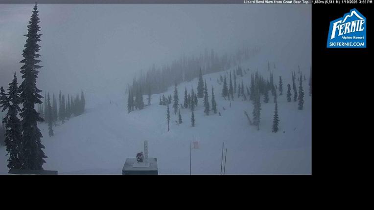 Webcam Fernie: Lizard Bowl