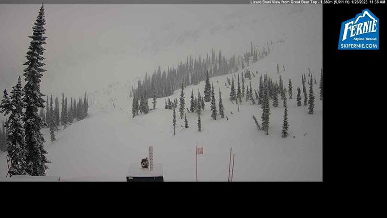 Webcam Fernie: Lizard Bowl