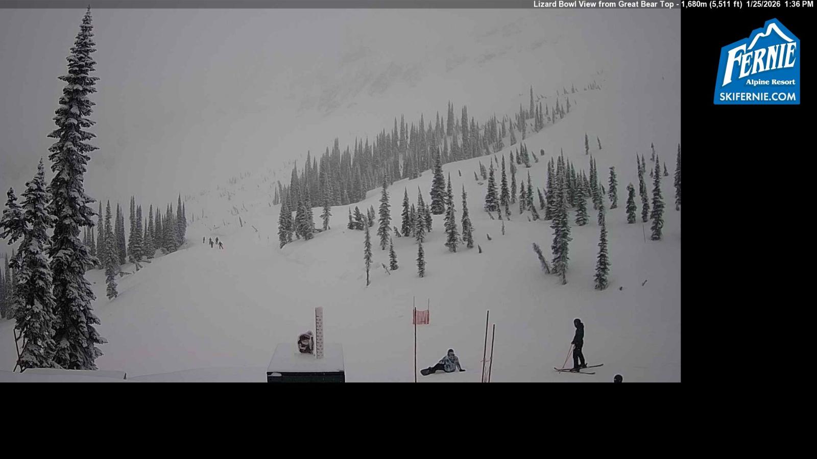 Webcam Fernie: Lizard Bowl