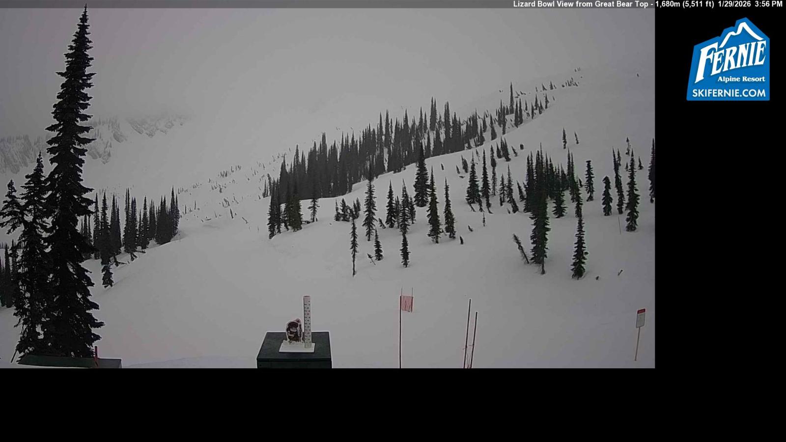 Webcam Fernie: Lizard Bowl