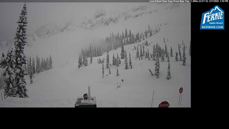 Webcam Fernie: Lizard Bowl