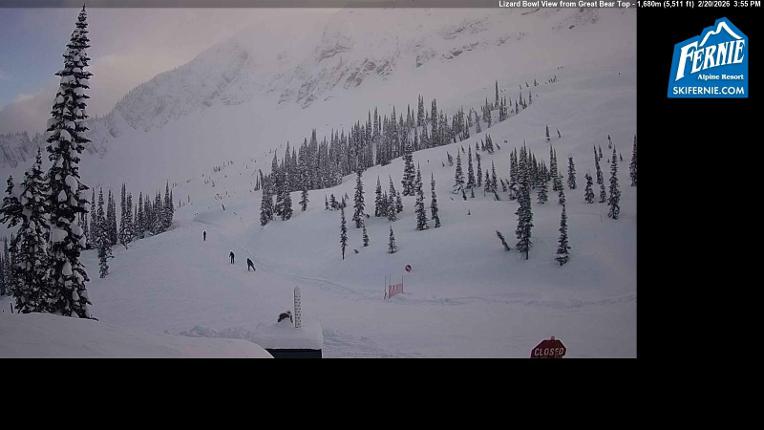 Webcam Fernie: Lizard Bowl