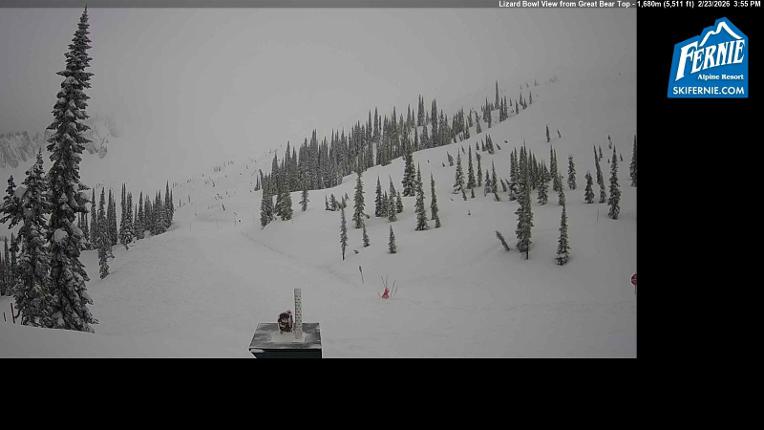 Webcam Fernie: Lizard Bowl