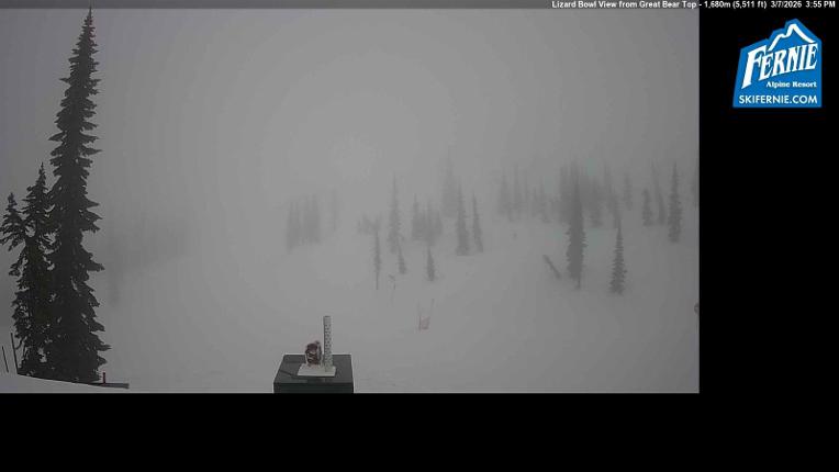 Webcam Fernie: Lizard Bowl