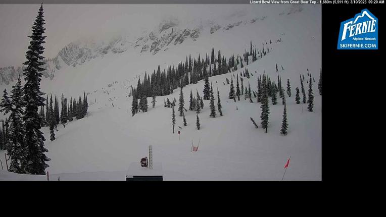 Webcam Fernie: Lizard Bowl