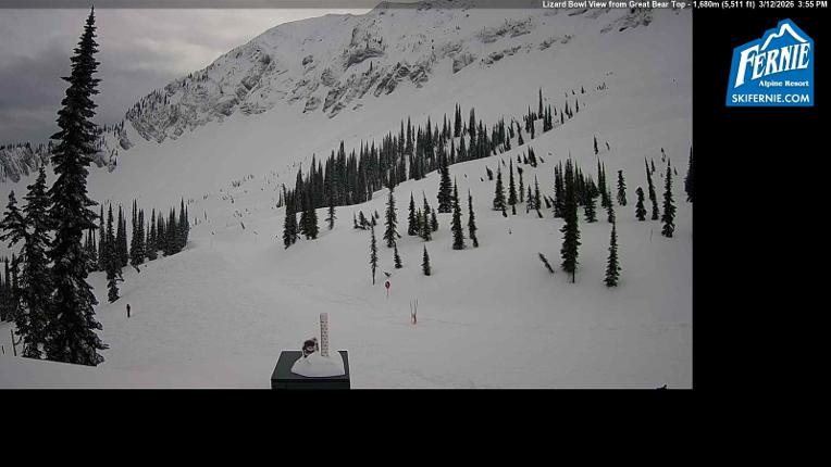 Webcam Fernie: Lizard Bowl