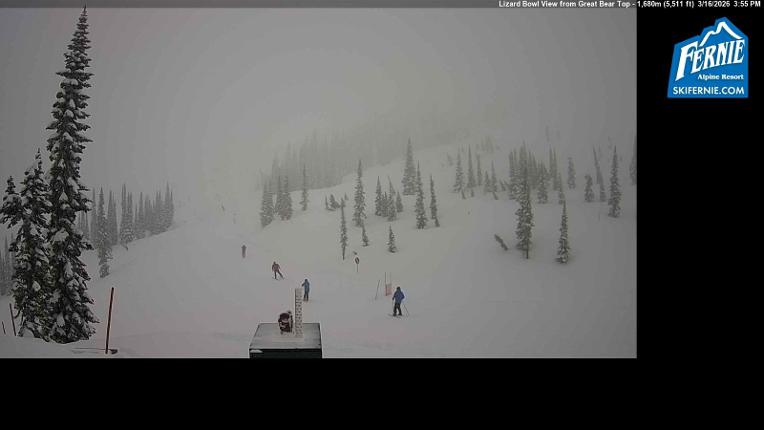 Webcam Fernie: Lizard Bowl