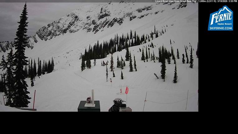 Webcam Fernie: Lizard Bowl