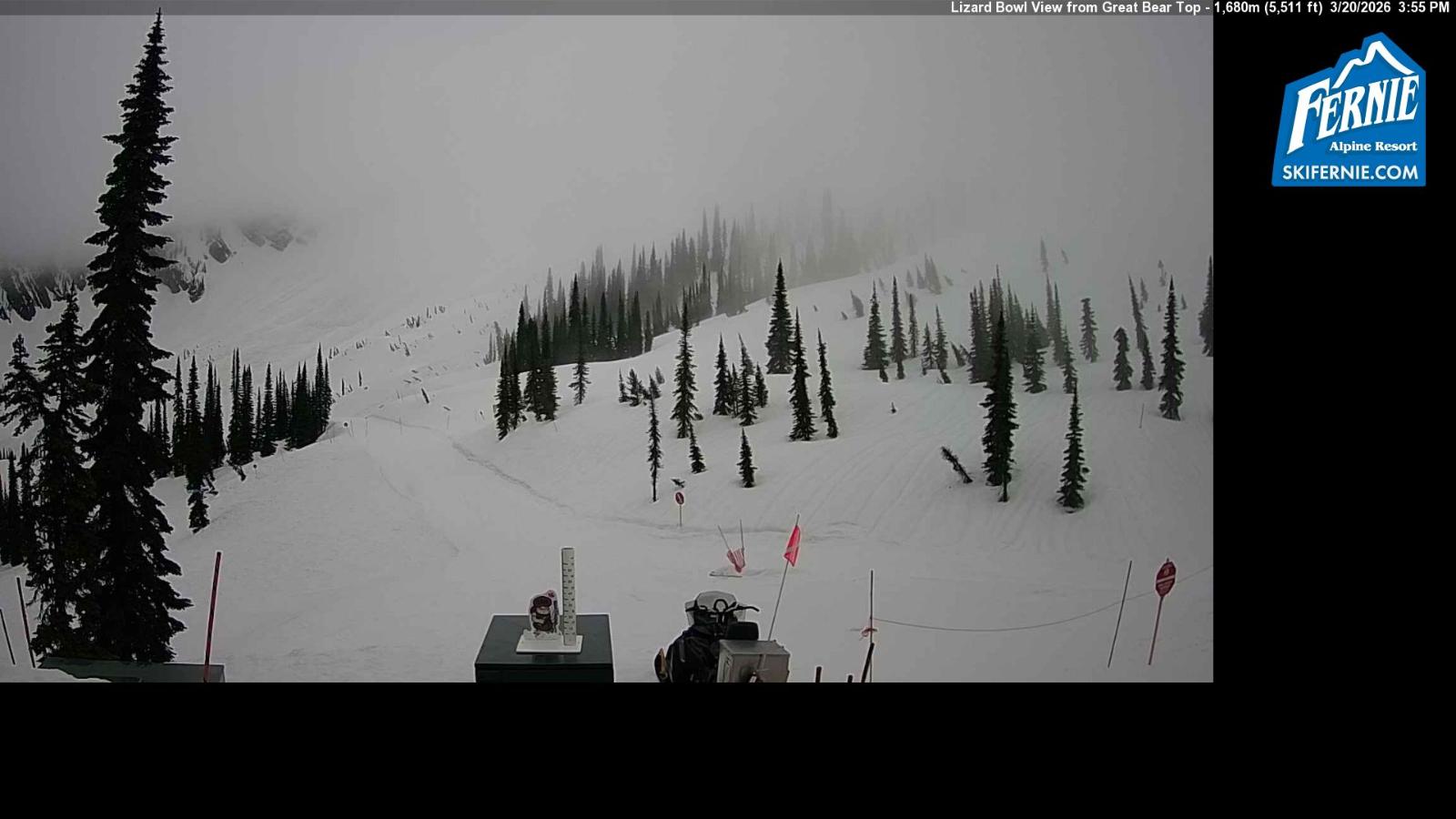 Webcam Fernie: Lizard Bowl