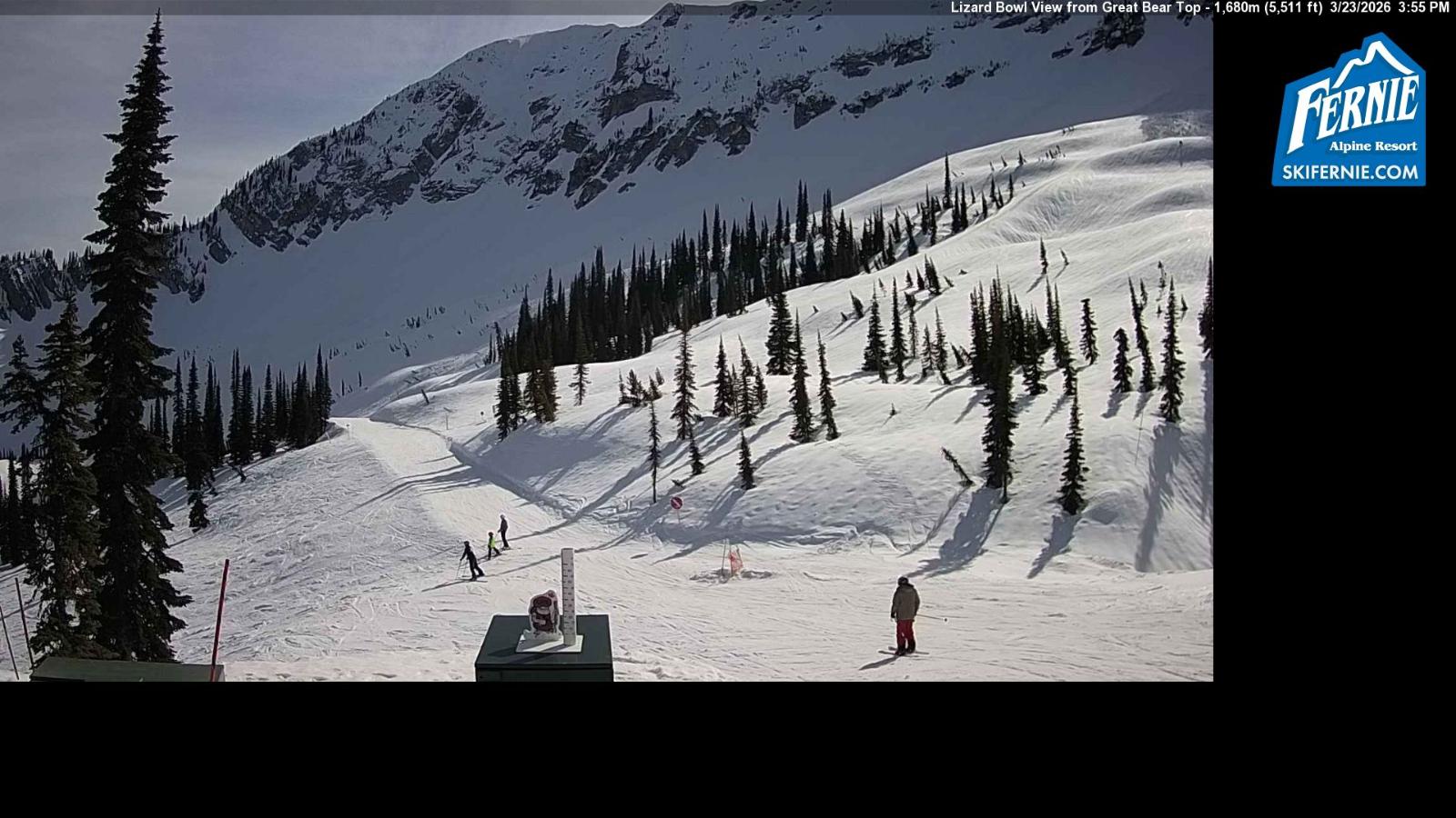 Webcam Fernie: Lizard Bowl