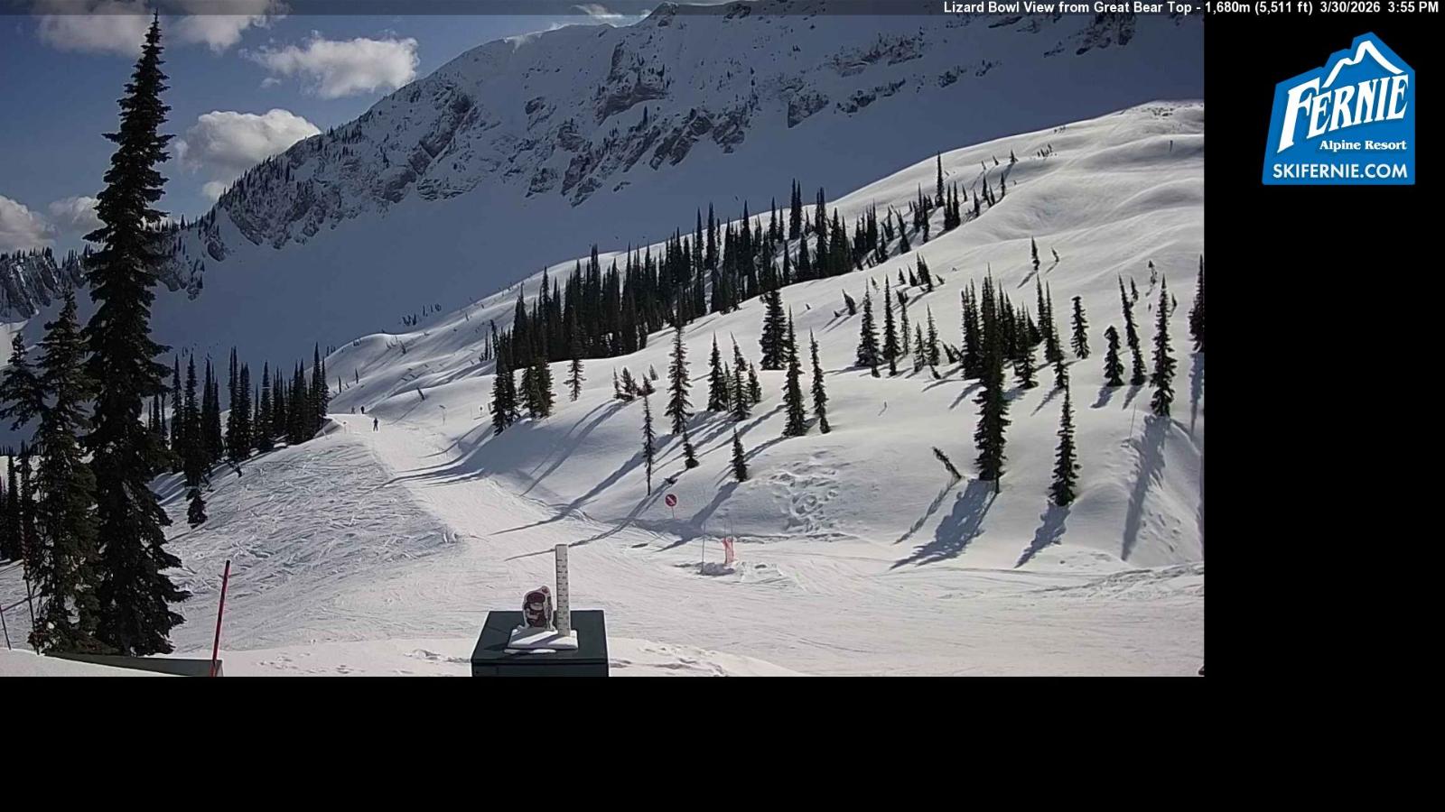 Webcam Fernie: Lizard Bowl