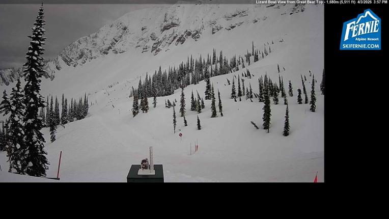 Webcam Fernie: Lizard Bowl