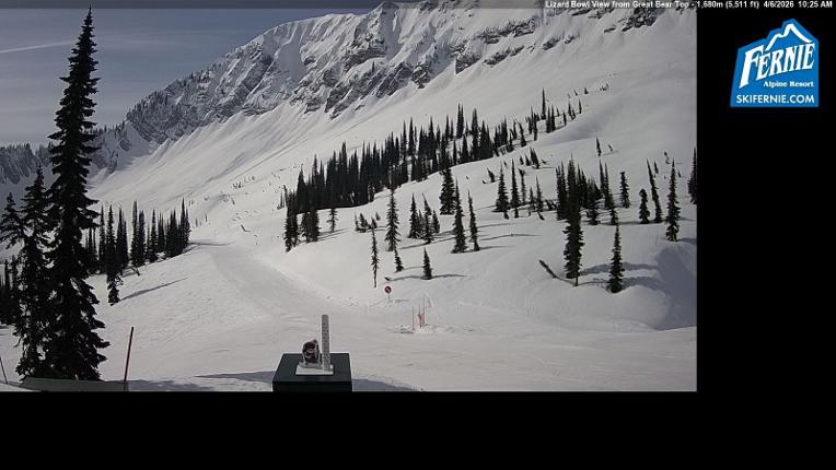 Webcam Fernie: Lizard Bowl