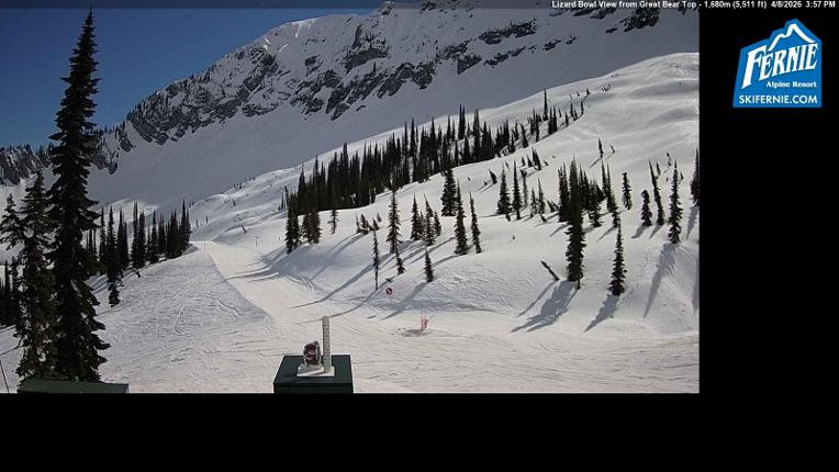 Webcam Fernie: Lizard Bowl