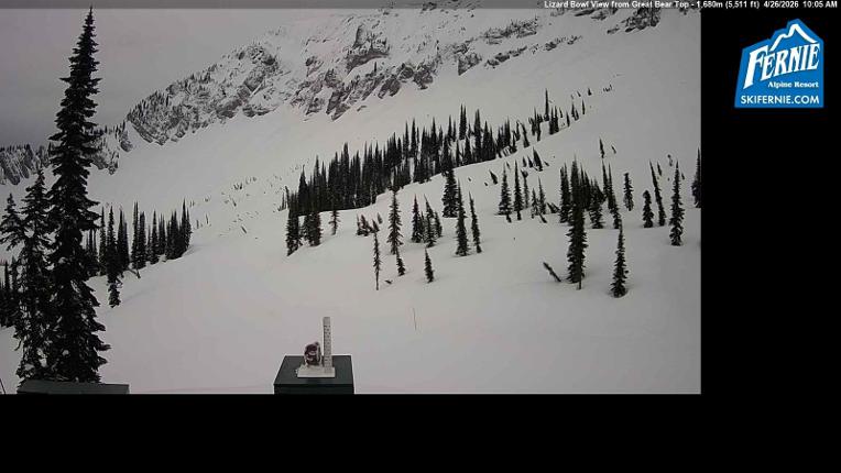 Webcam Fernie: Lizard Bowl
