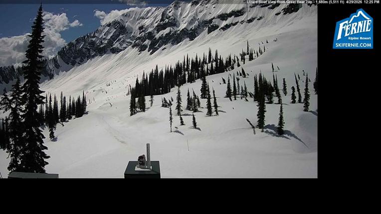 Webcam Fernie: Lizard Bowl