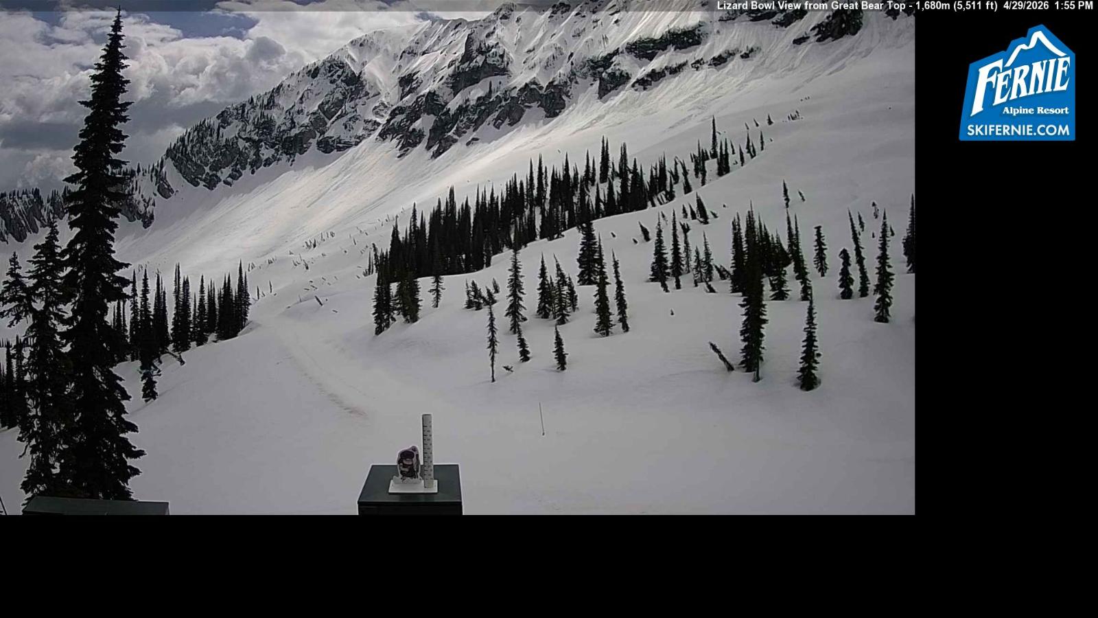 Webcam Fernie: Lizard Bowl