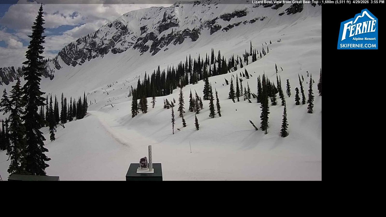 Webcam Fernie: Lizard Bowl