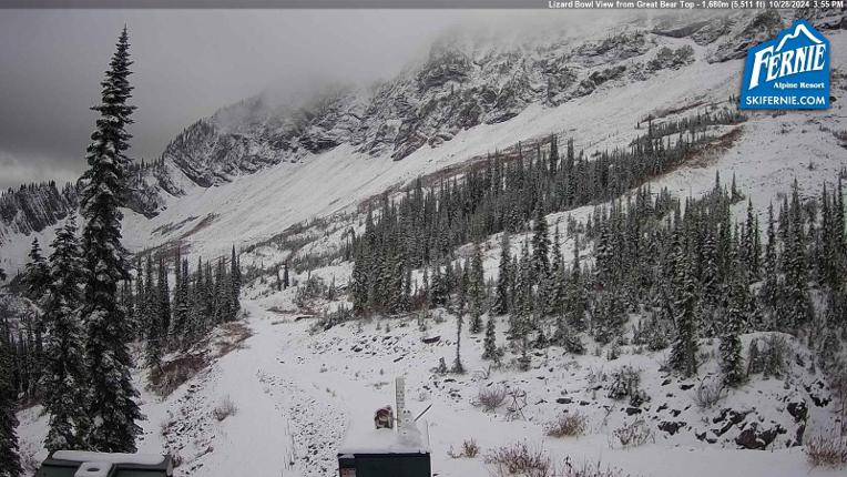 Webcam Fernie: Lizard Bowl